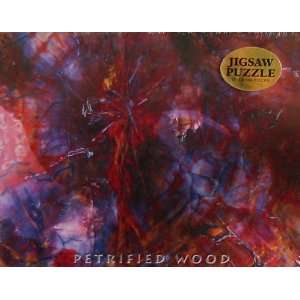  Petrified Wood Jigsaw Puzzle Toys & Games
