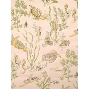     Turtle Brown Yellow Seagreen On Oys Wallpaper