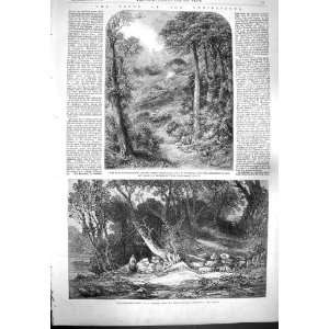   1861 WOODLAND GLADE TREES PATH BLACKDOWN SURREY HILLS