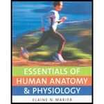 Half Essentials of Human Anatomy and Physiology by Elaine Nicpon 