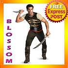 C534 Prince Of Persia   Dastan Classic Warrior Adult Halloween Costume