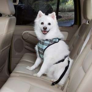 Classic Plaid Car Vest Harness Dog Seat Belt LG Blue  