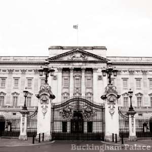 Buckingham Palace 12 x 12 Paper