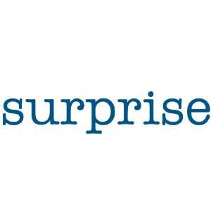  surprise Giant Word Wall Sticker