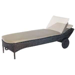    Domus Ventures Honey Sunlounge with Wheels 