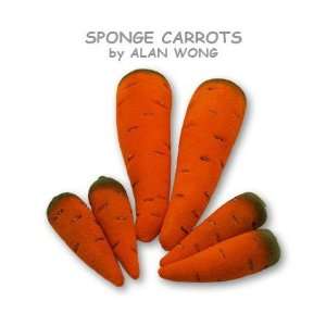  Sponge Carrots 