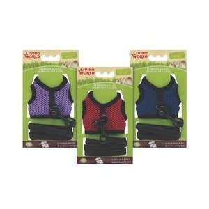  Living World Small Harness and Lead Set, Assorted Colors 