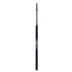  Star Handcrafted Standup Spinning Rod STSS30FHC Sports 