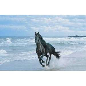   PICTURE, w/Running Horse Wildlife SOOTHING/SOUND/MOVING WATER ILLUSION