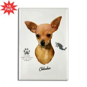   Magnet (10 Pack) Chihuahua from Toy Group and Mexico 