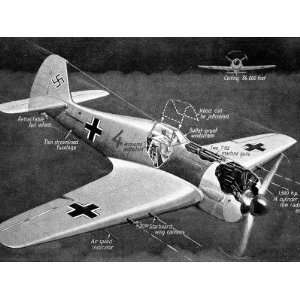  Illustration of Fw190 Fighter; Second World War, 1942 