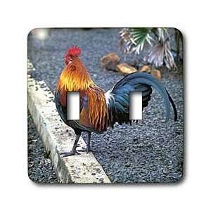 Farm Animals   Rooster   Light Switch Covers   double 