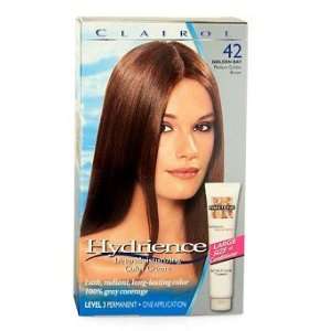  Clairol Hydrience #42 Golden Bay Kit Beauty