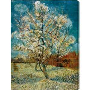  Blossoming Peach Tree AZV00622 metal print Kitchen 