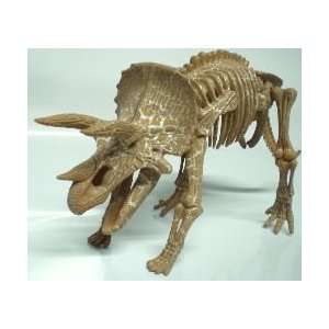  16 inch long Triceratops Jurassic Dinosaur Skeleton Fossil 