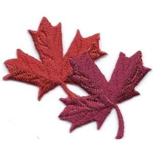  Embroider Iron On Applique Autumn Tree Leaves Patch 