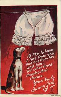 SUNNY JIM   dog   underwear   clothes line Humor   postcard   2857 