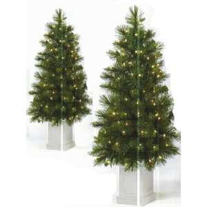  Pair of 4 lit slim long needle pine trees in decorative 