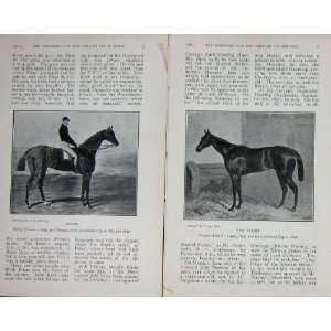  1911 Goodwood Horse Racing Cup Priam Tromp Vauban
