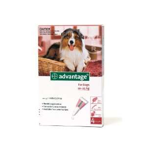 Advantage Red 4 Pack Large Dogs
