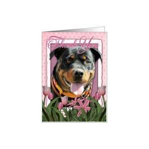  Thank You Rottweiler in Pink Tulips Card Health 