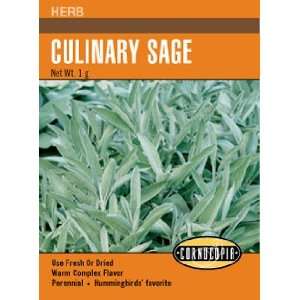 Sage   Culinary Seeds