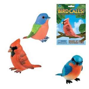  Shake Em Up Bird Calls Toys & Games