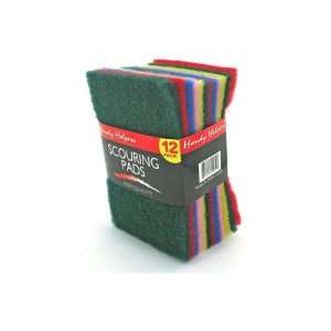  Scouring Pad Value Pack 