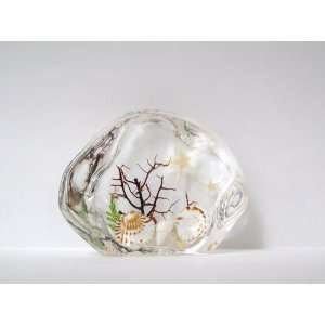  Sea Shells Desk Decoration (ST2301)