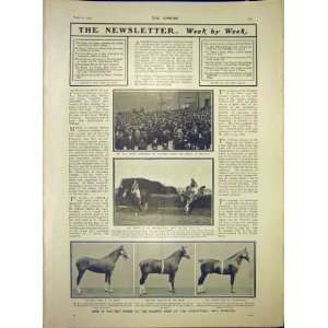  Crooks Woolwich Sandown Races Horse Show Islington 1903 