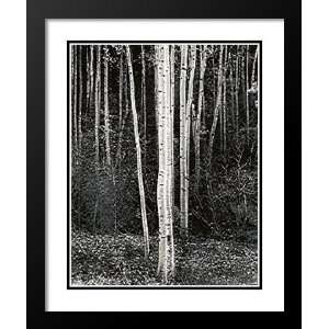  Ansel Adams Framed and Double Matted Art 33x45 Aspens 