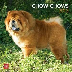  Chow Chows 2013 Wall Calendar 12 X 12