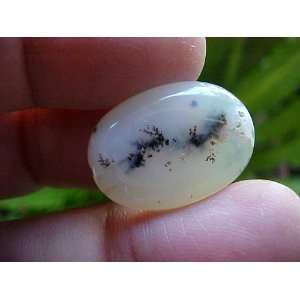  Zs4013 Gemqz Dendritic Tree Agate Oval Cabochon Beauty 