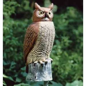 Rotating Head Owl