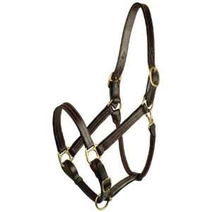Gatsby Leather 201 6 Classic Adjustable Halter Large Horse  