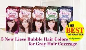   Japan liese Prettia Bubble Hair Color Dying Kit   NEW COLORs  
