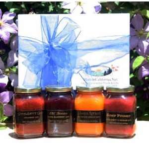Mountain Fruit Company Jam Gift Box  Grocery & Gourmet 