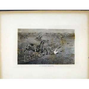   Dilemma C1843 Antique Print Horse Jumping Fence