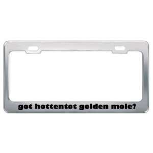 Got Hottentot Golden Mole? Animals Pets Metal License Plate Frame 