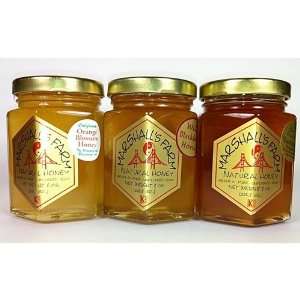 Honey 3 Jar Assortment Orange Blossom, Wild Blackberry, Eucalyptus 