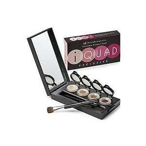  Bare Escentuals IQuad the Works Beauty