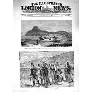  1881 MAJUBA HILL GRAVES MAUDE IRISH HARVESTERS ENGLAND 