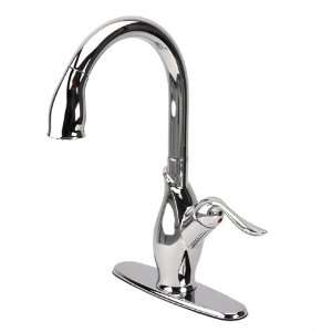  Fontaine Isabella Pull Out Kitchen Faucet, Chrome  FF 