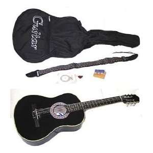   Guitar w/ Carrying Case, Accessories, eBook Musical Instruments
