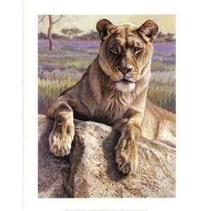 Kalon Baughan   Serengeti Lioness Size 14x11   Poster by Kalon Baughan 