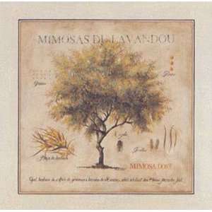  Mimosas Du Lavandou   Poster by Pascal Cessou (28 x 28 