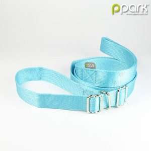  Slip lead leash w/ blocking skid   Turquoise   Large Pet 