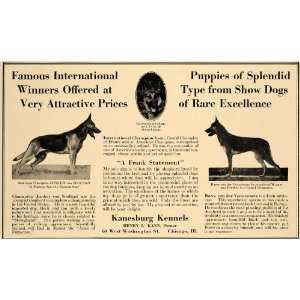  1928 Ad Kanesburg Kennels Show Dogs Henry Kane Chicago 