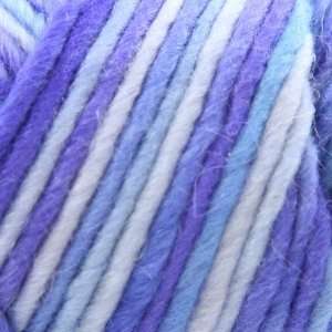   Sheep Lambs Pride Bulky [Frosted Periwinkle] Arts, Crafts & Sewing
