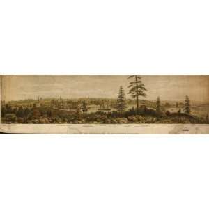  Historic Panoramic Map View of Victoria, Vancouver Island 
